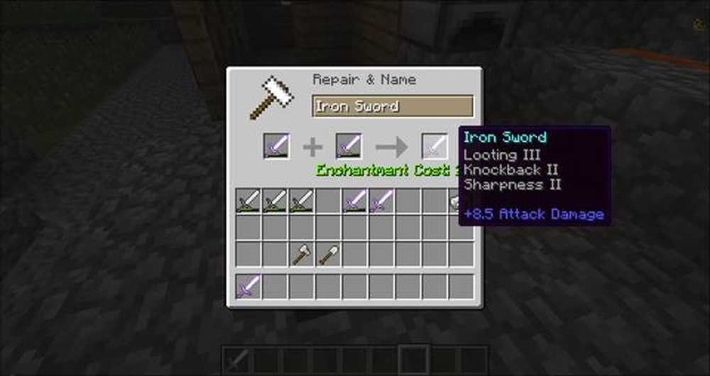 Unique enchantments. Enchanted Iron Sword.