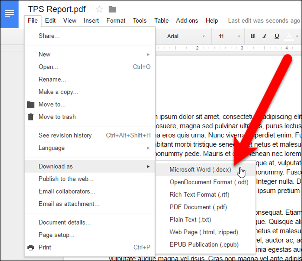 Google docs pdf viewer